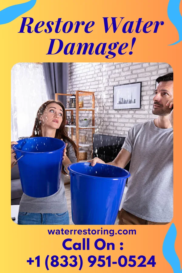 water restoration Water Removal LLC Bloomsbury