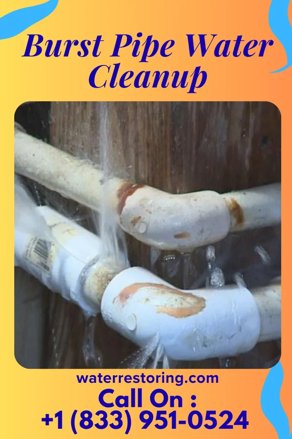 Burst Pipe Water Cleanup in Bloomsbury, NJ