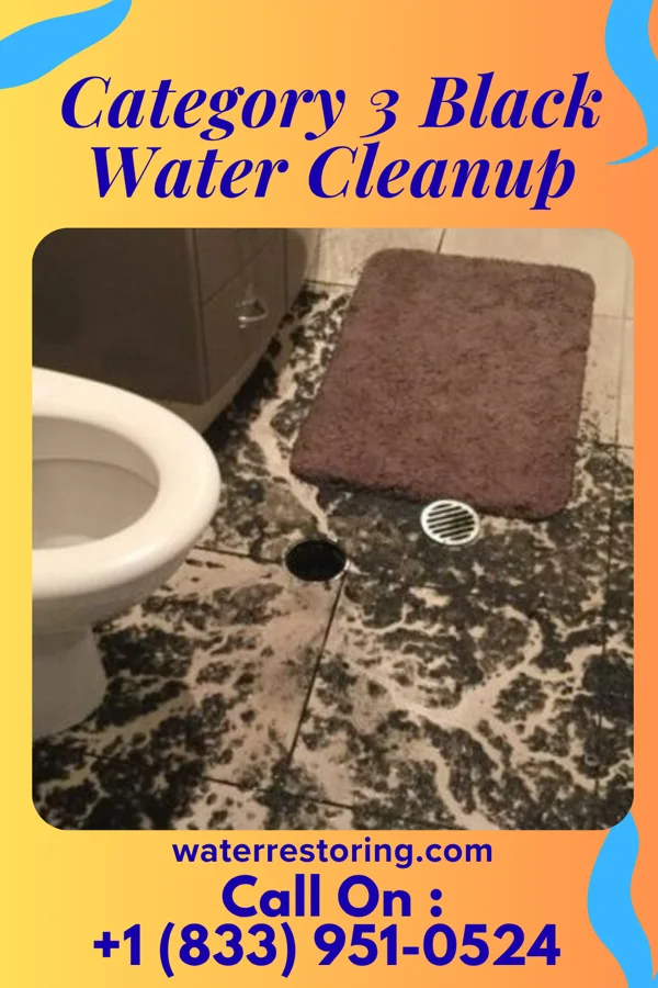 Category 3 Black Water Cleanup in Bloomsbury, NJ