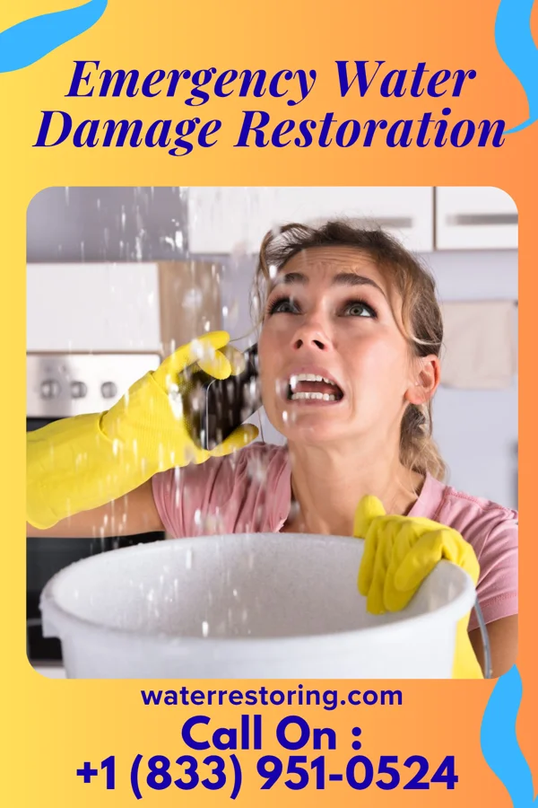 Emergency Water Damage Restoration in Bloomsbury, NJ