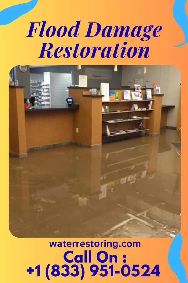 Flood Damage Restoration in Bloomsbury, NJ
