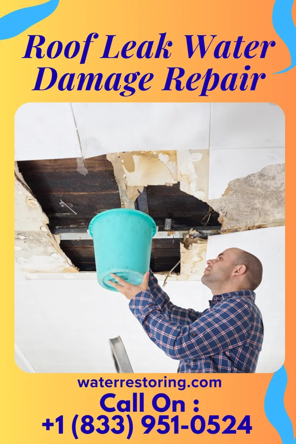 Roof Leak Water Damage Repair in Bloomsbury, NJ