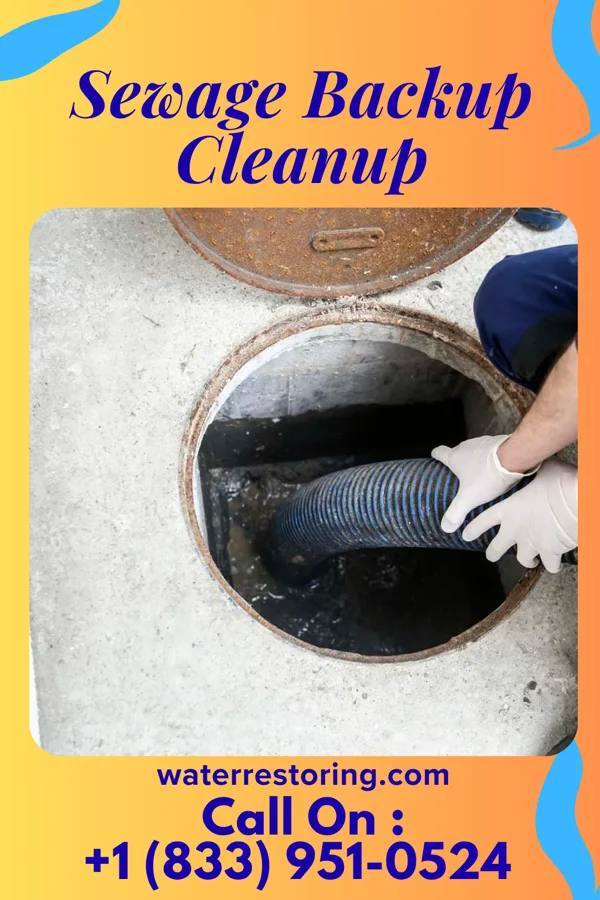 Sewage Backup Cleanup in Bloomsbury, NJ