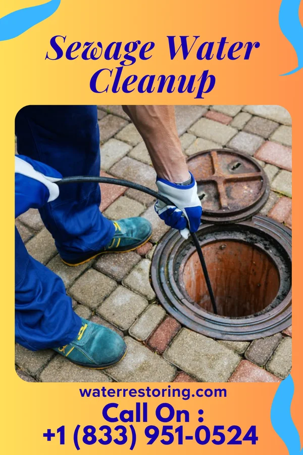 Sewage Water Cleanup in Bloomsbury, NJ